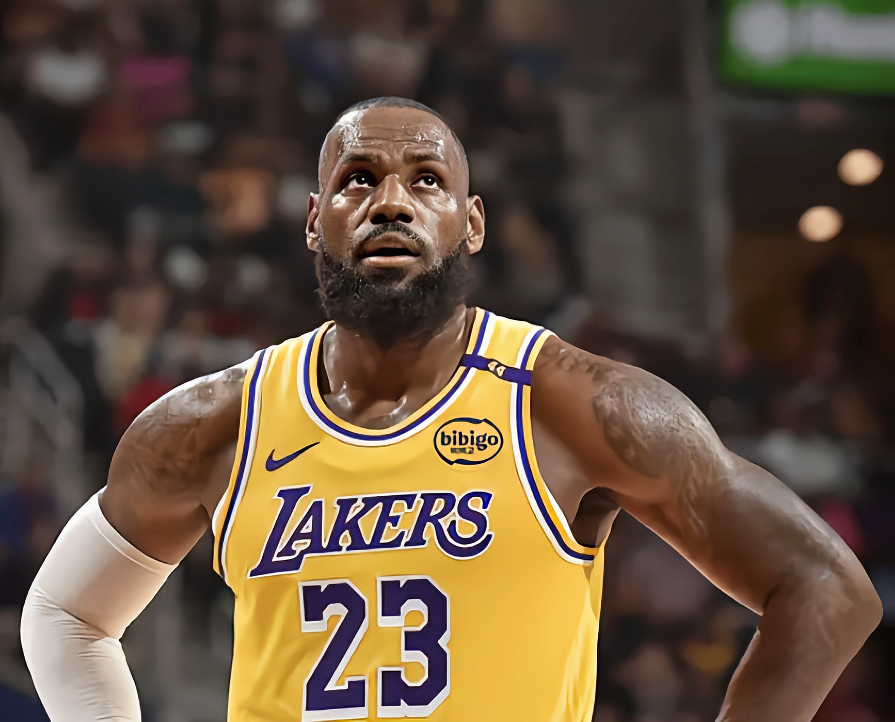 雷速体育-猛龙客场大胜湖人，豪取五连胜的简单介绍