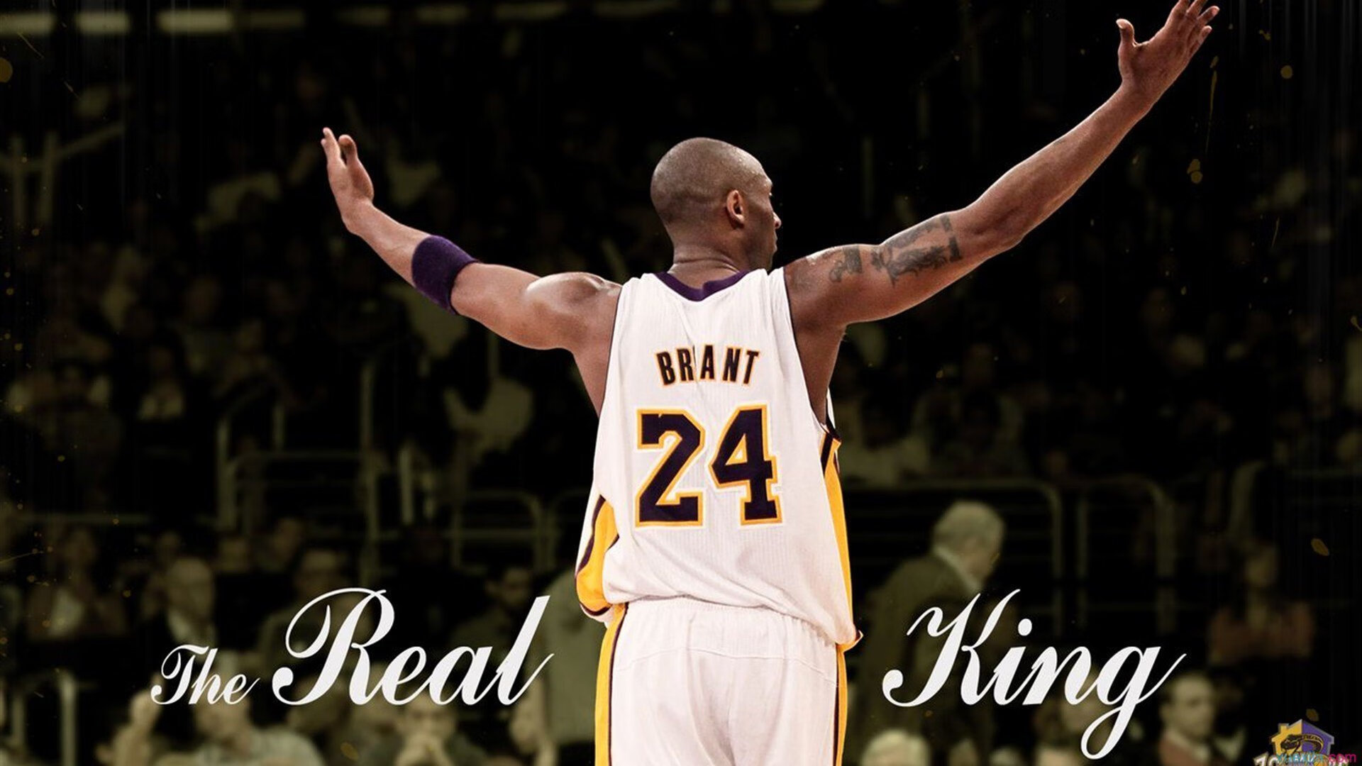 鏖战天山，陶汉林扛起步行者，在新疆的寒风中铸就传奇